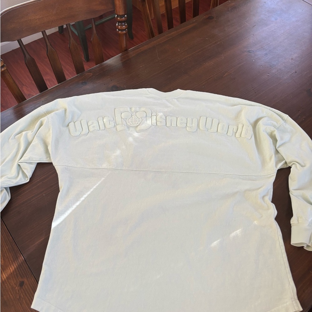 Disney Spirit Jersey Mint Top
